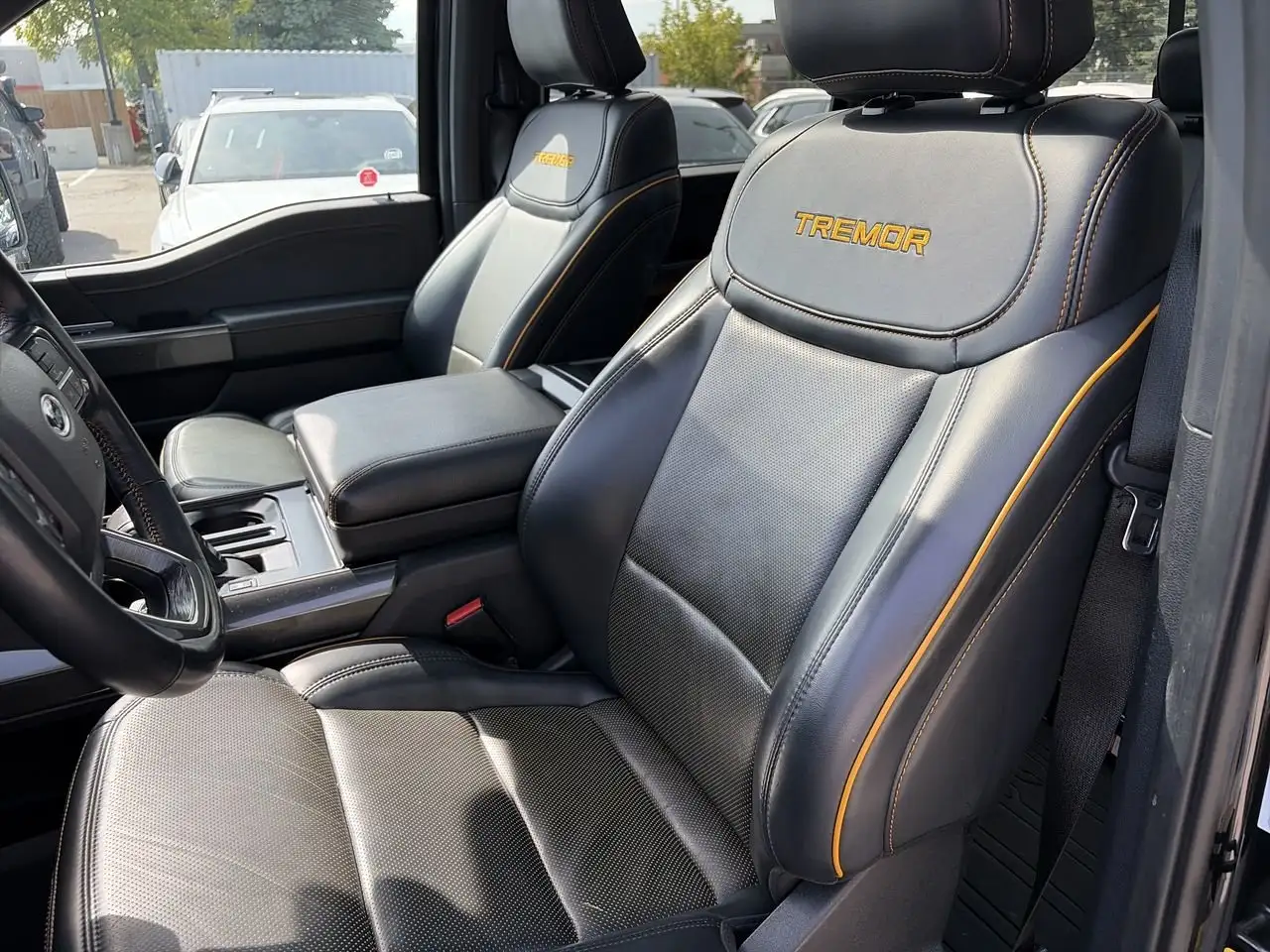 Ford F-150 - Image 19