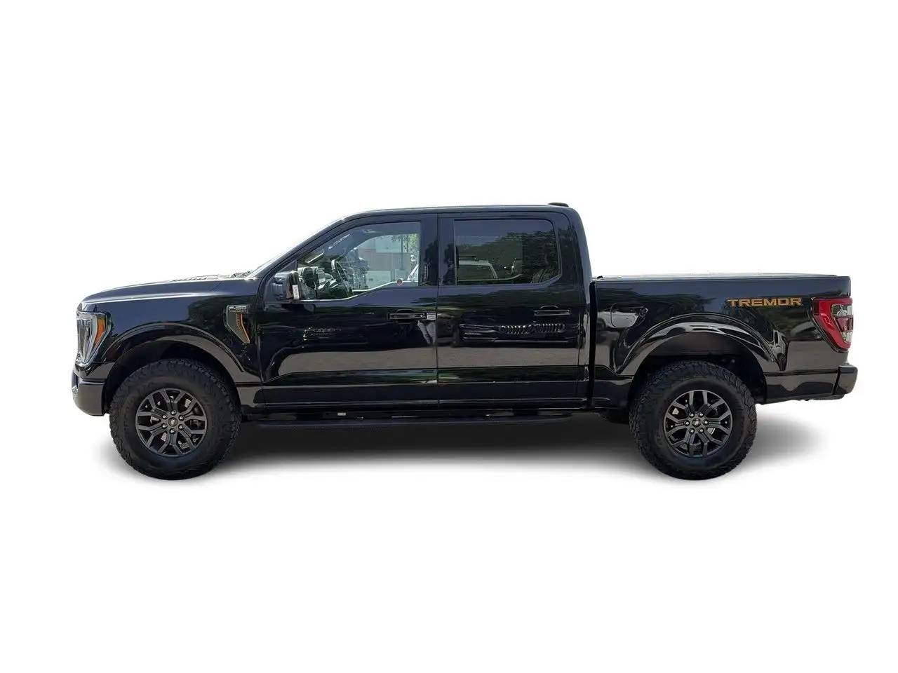 Ford F-150 - Image 8
