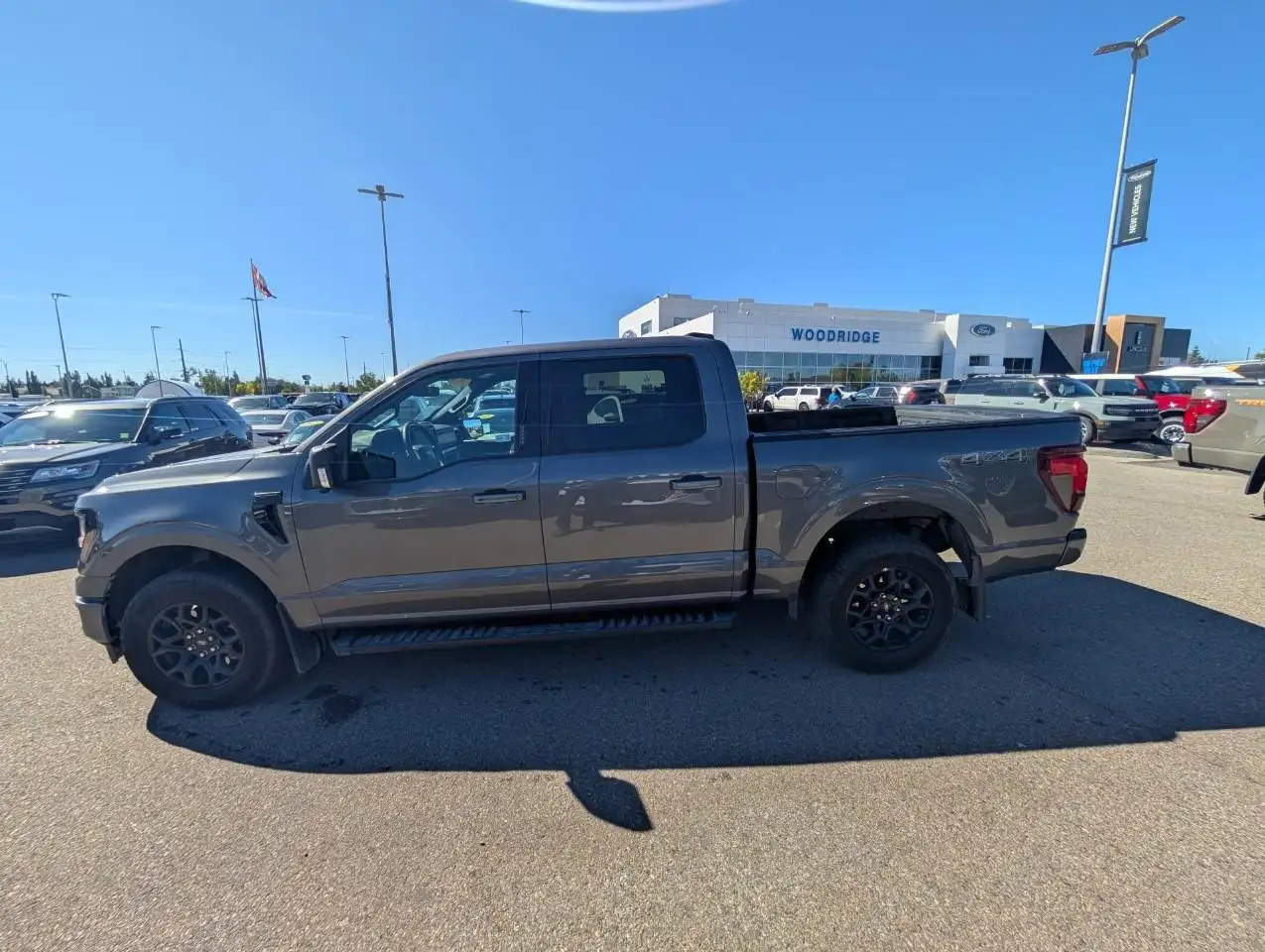 Ford F-150 - Image 4