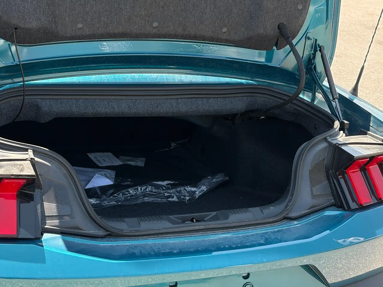 Ford Mustang - Image 15