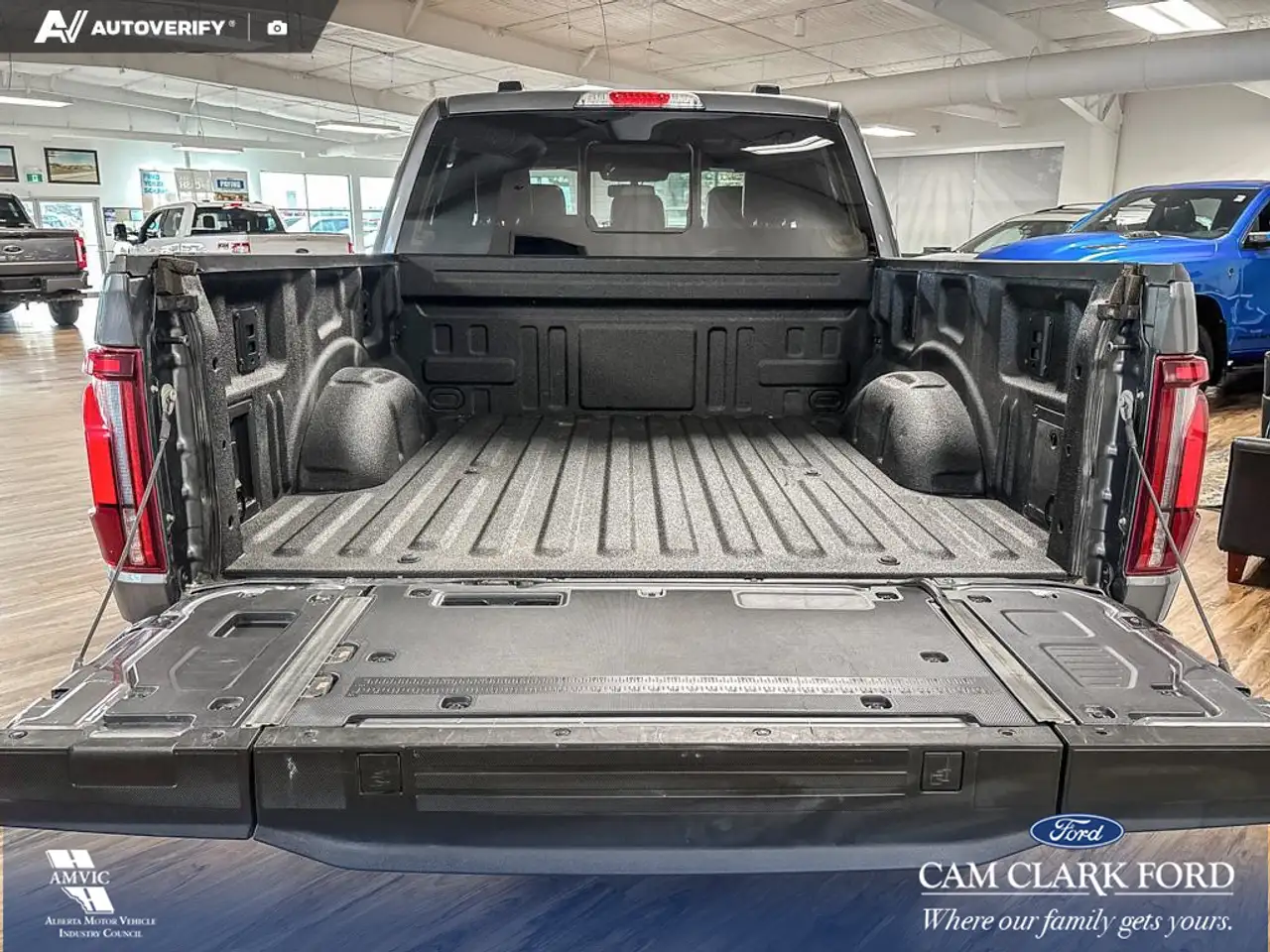 Ford F-150 - Image 11