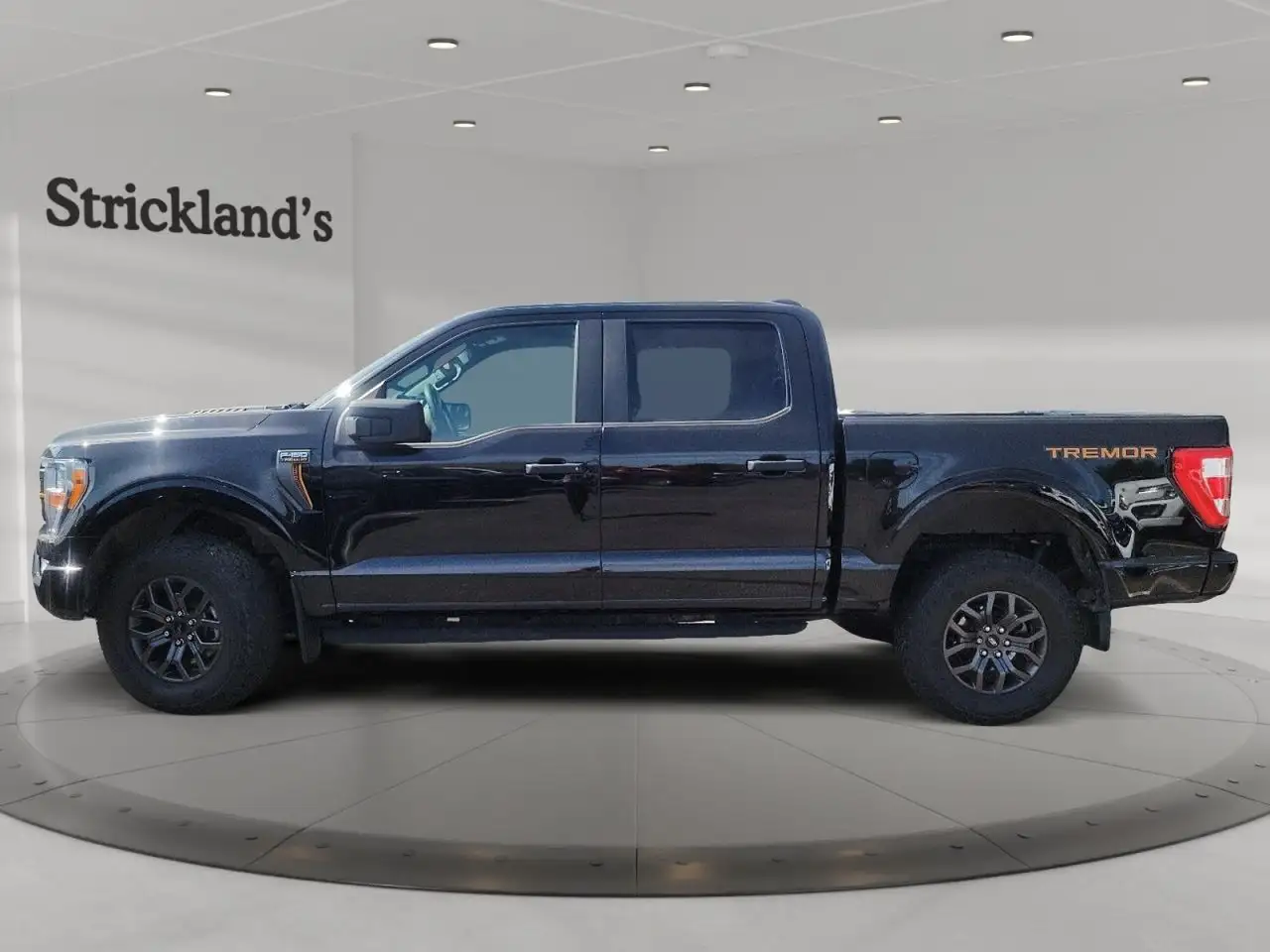 Ford F-150 - Image 5