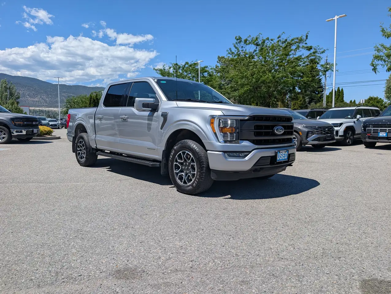 Ford F-150 - Image 4