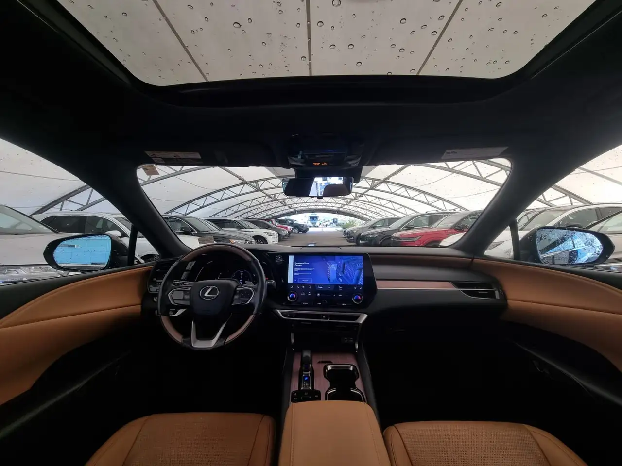 Lexus RX 350h - Image 13
