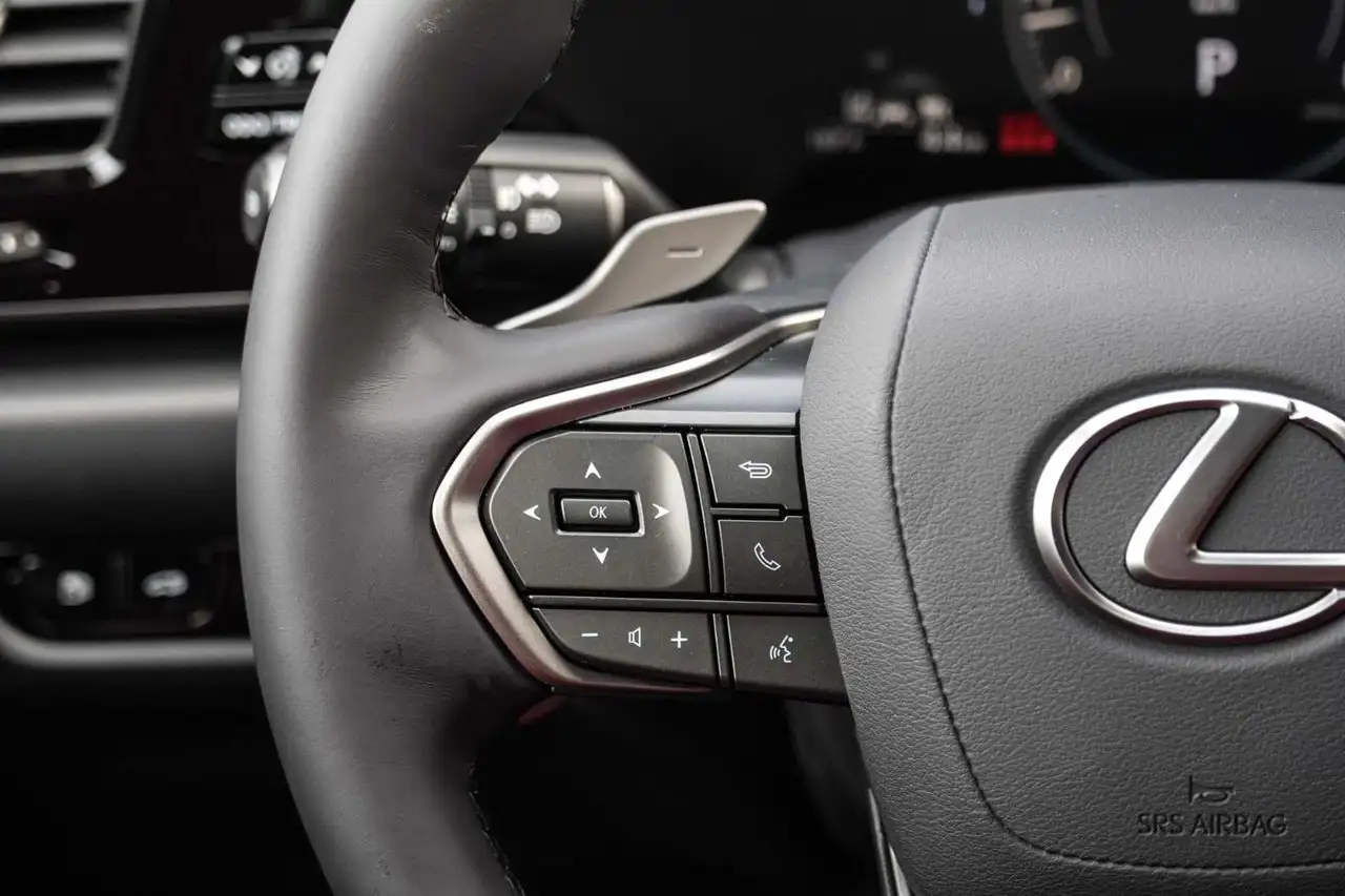 Lexus NX - Image 18