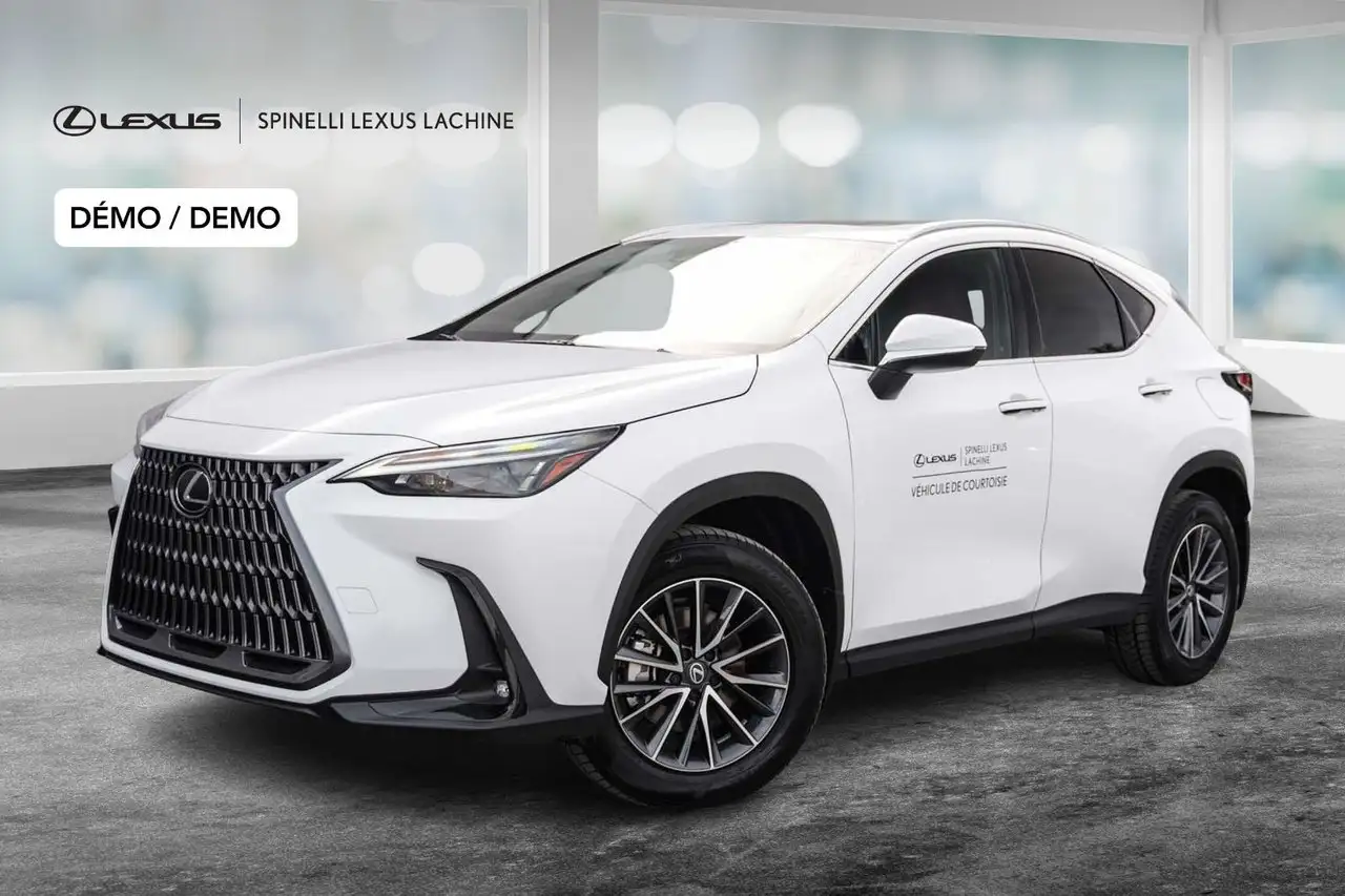 Lexus NX - Image 1