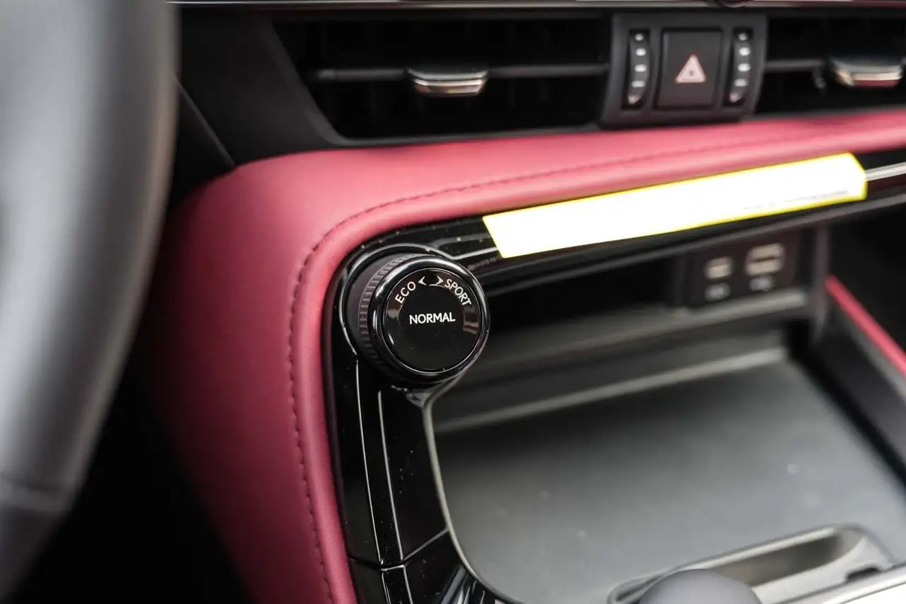Lexus NX - Image 22