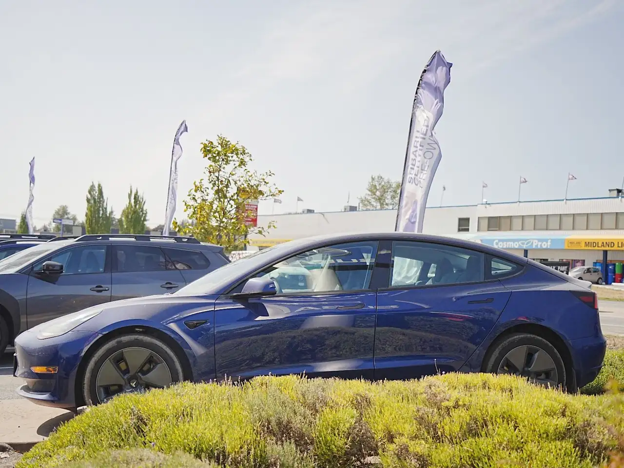 Tesla Model 3 - Image 5