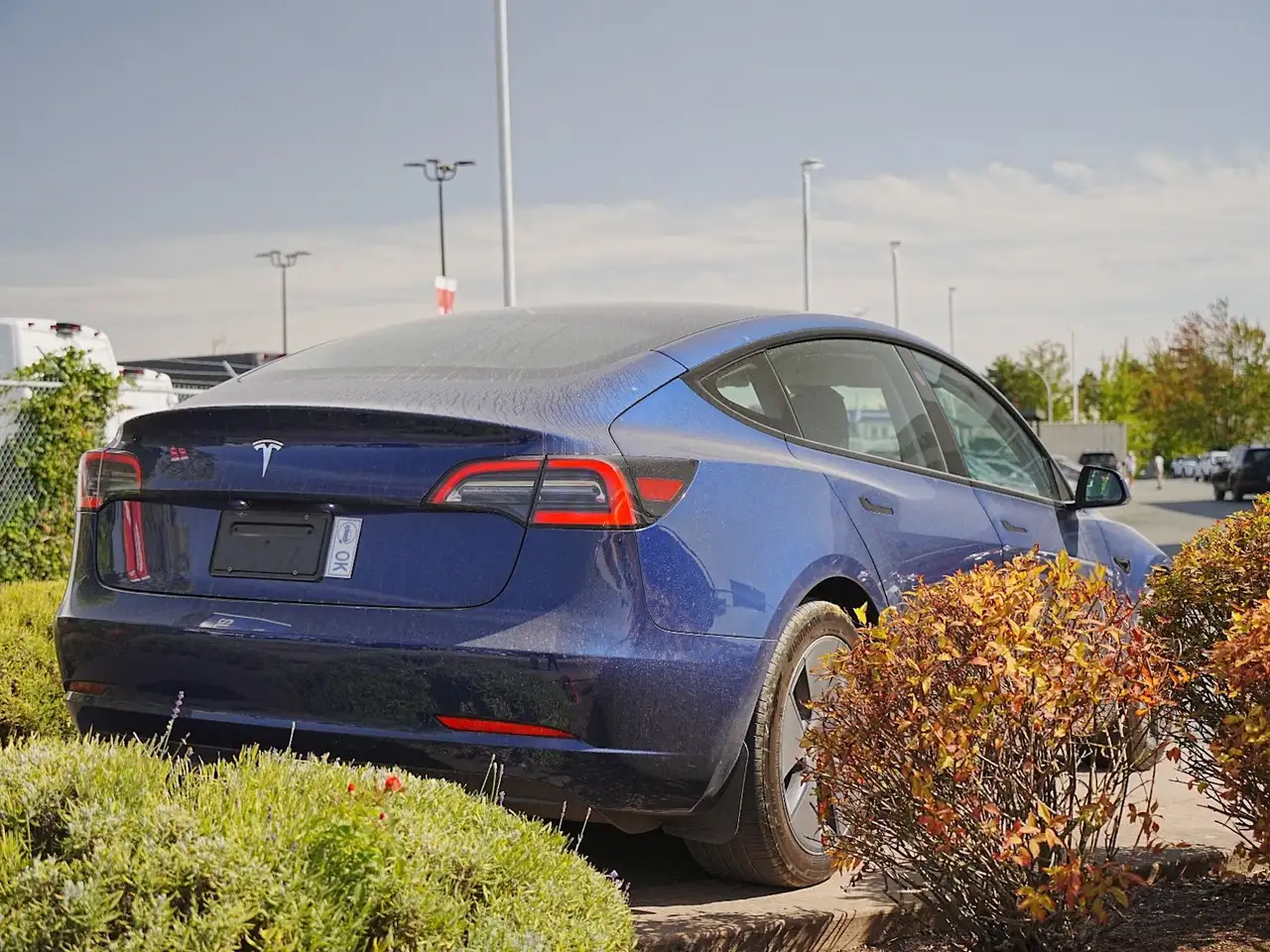 Tesla Model 3 - Image 8