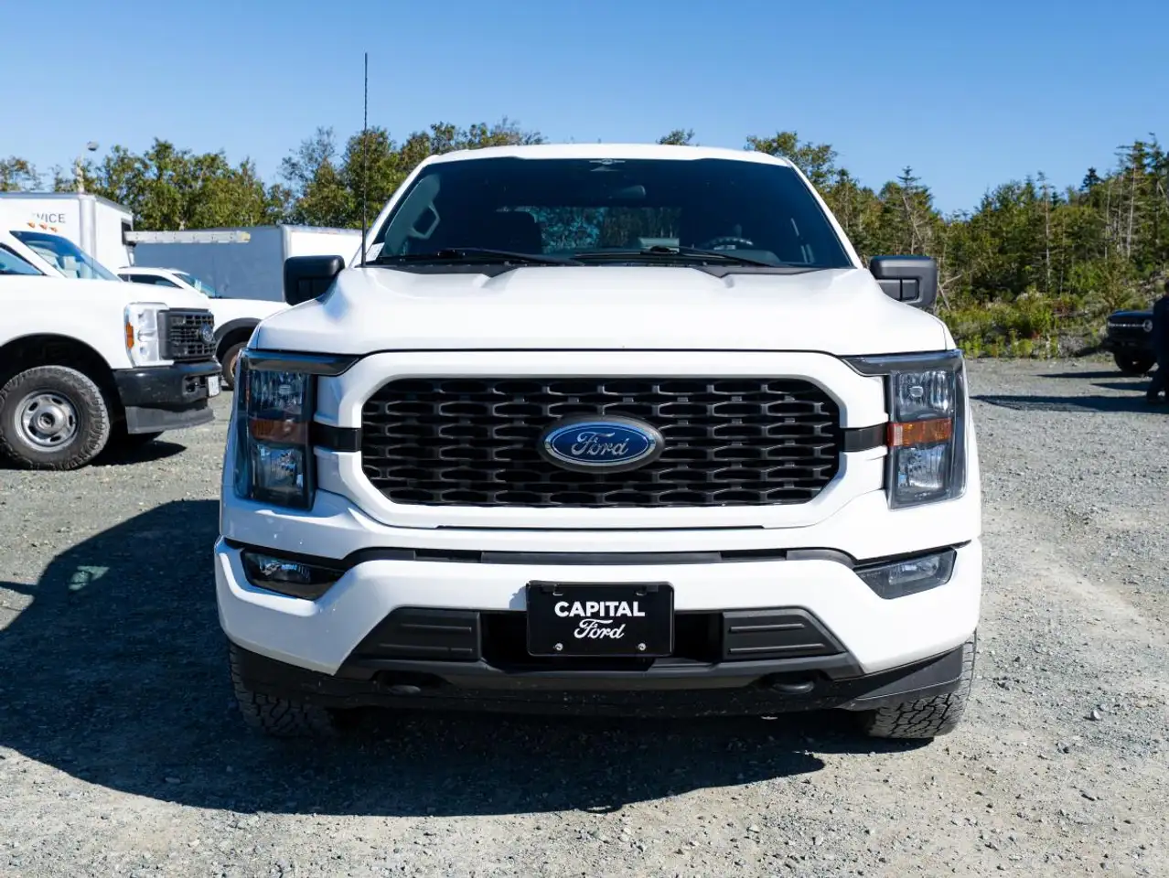 Ford F-150 - Image 2