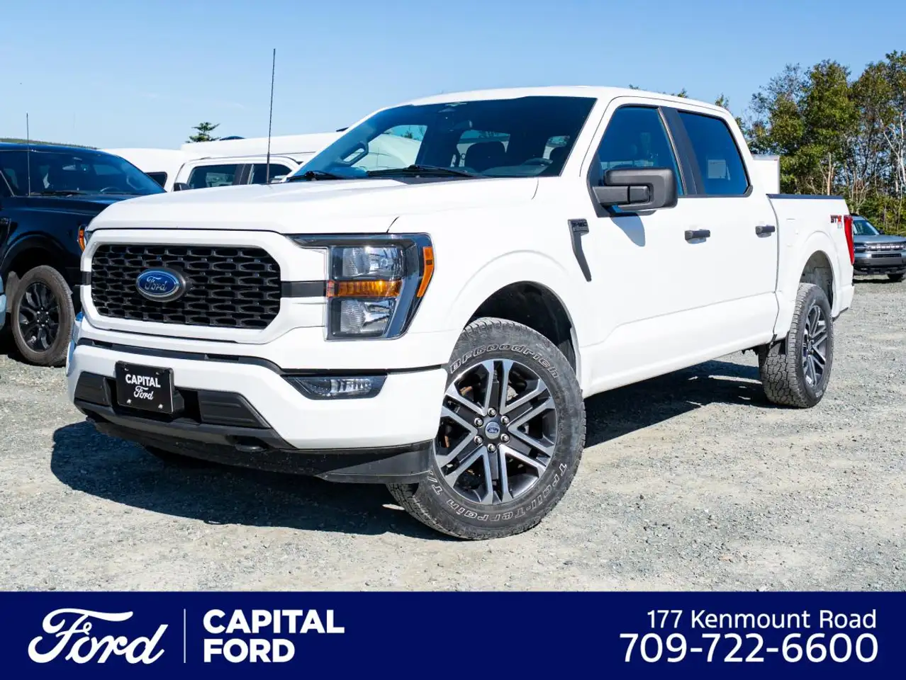 Ford F-150 - Image 1