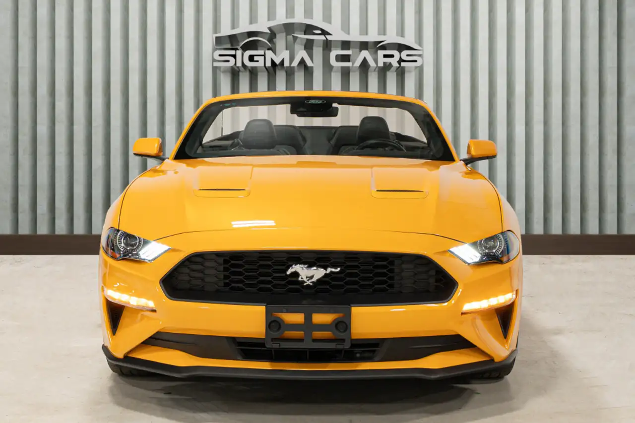 Ford Mustang - Image 3