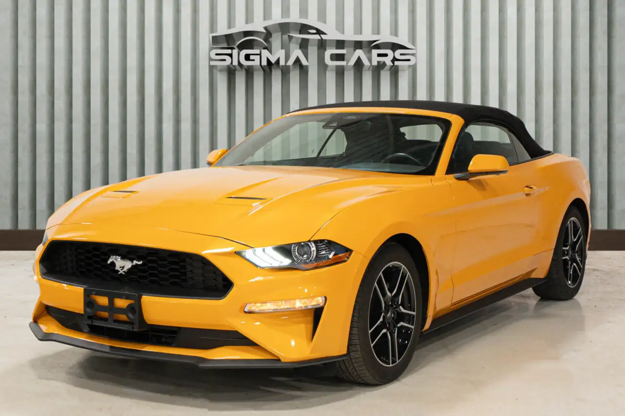 Ford Mustang - Image 2