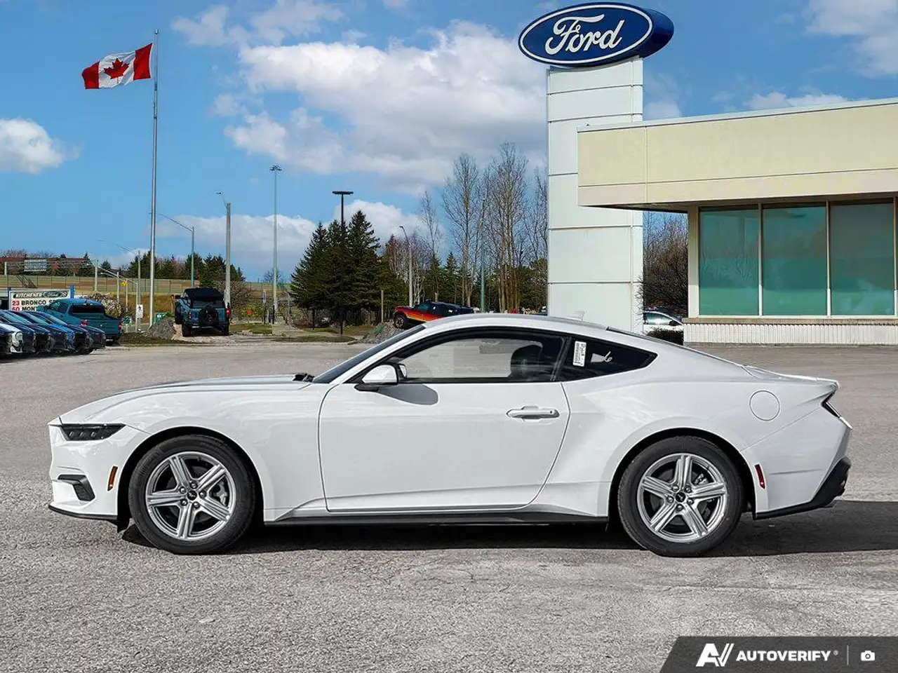 Ford Mustang - Image 4