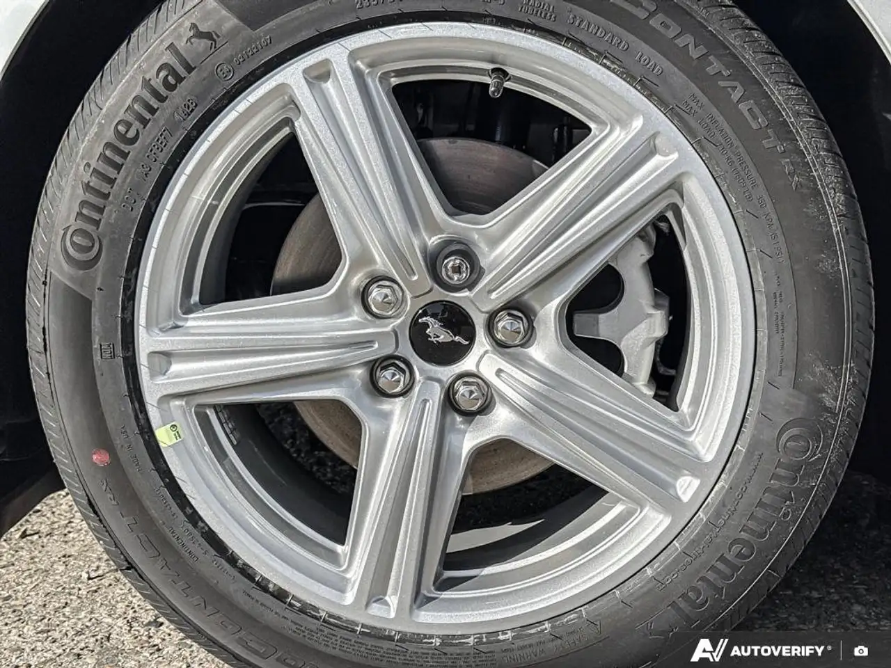 Ford Mustang - Image 8