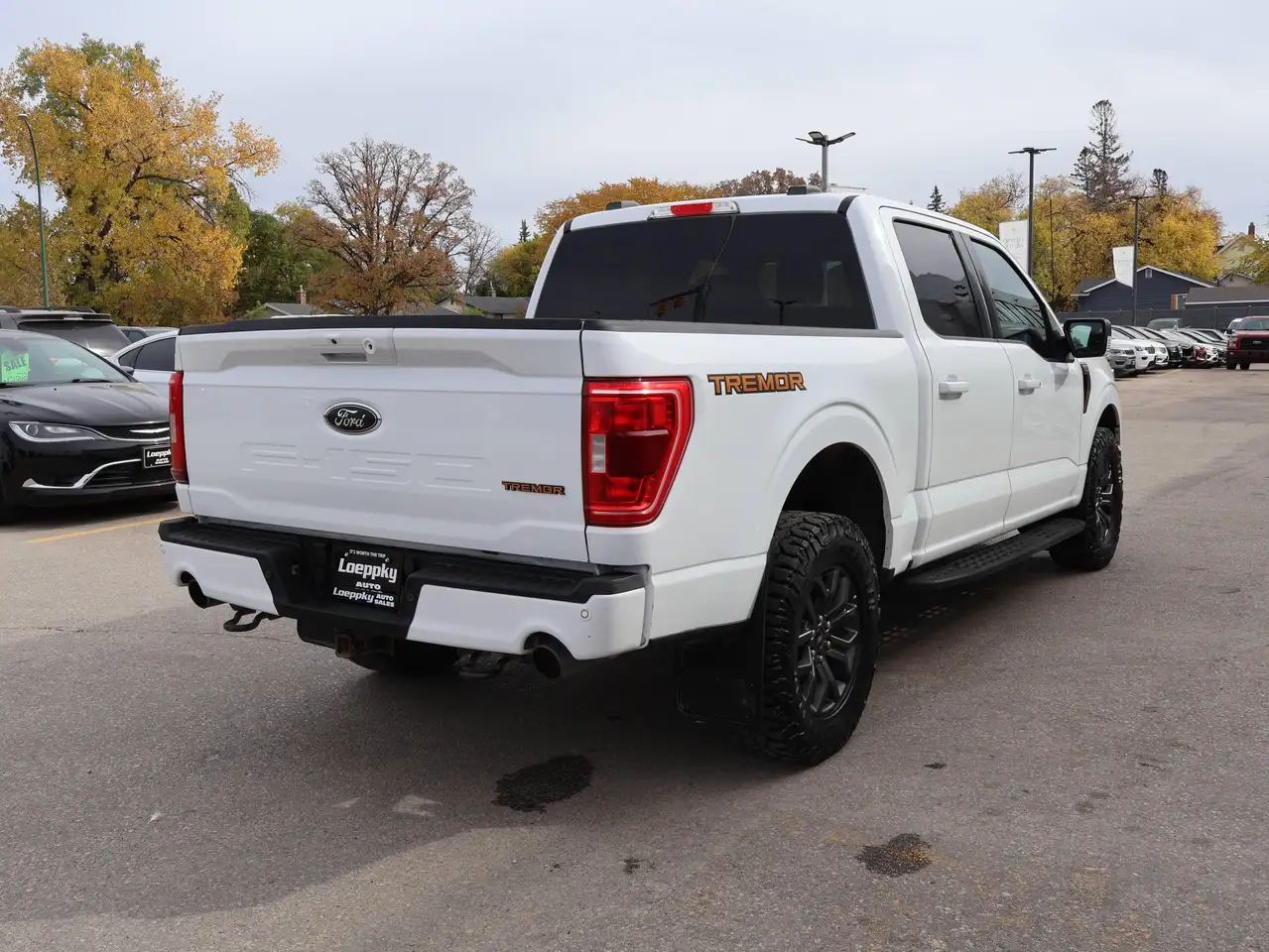 Ford F-150 - Image 11