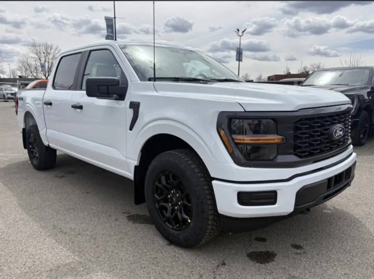 Ford F-150 - Image 6