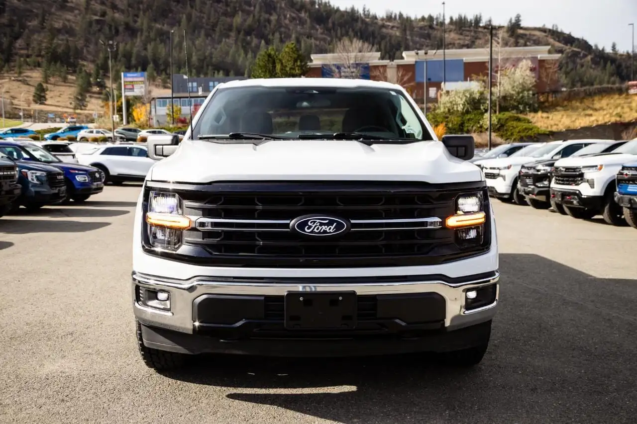 Ford F-150 - Image 4