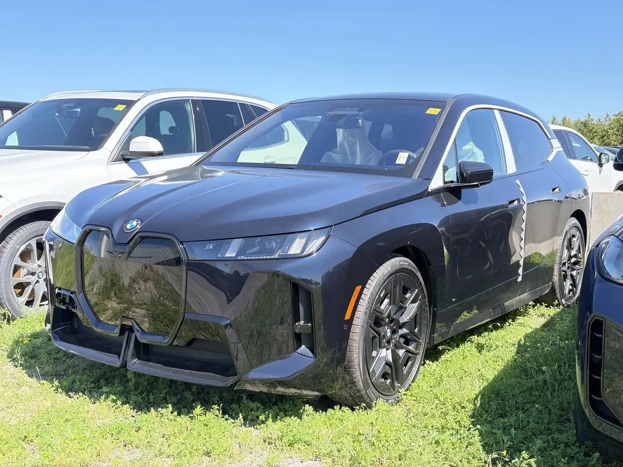 BMW iX - Image 1