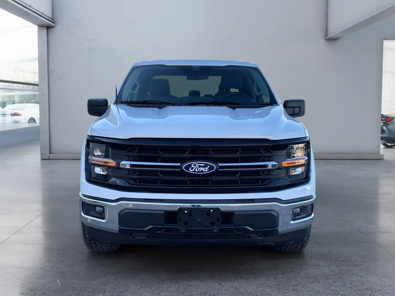 Ford F-150 - Image 8