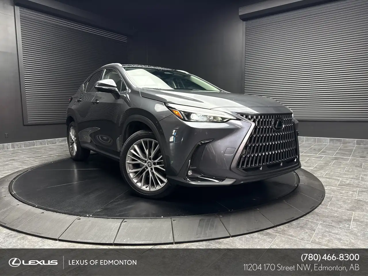 Lexus NX - Image 1