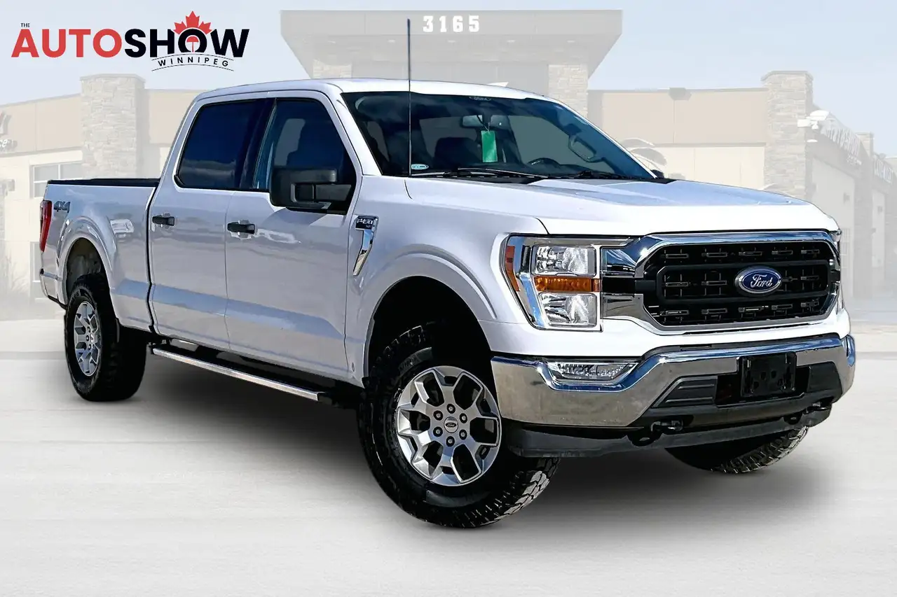 Ford F-150 - Image 1