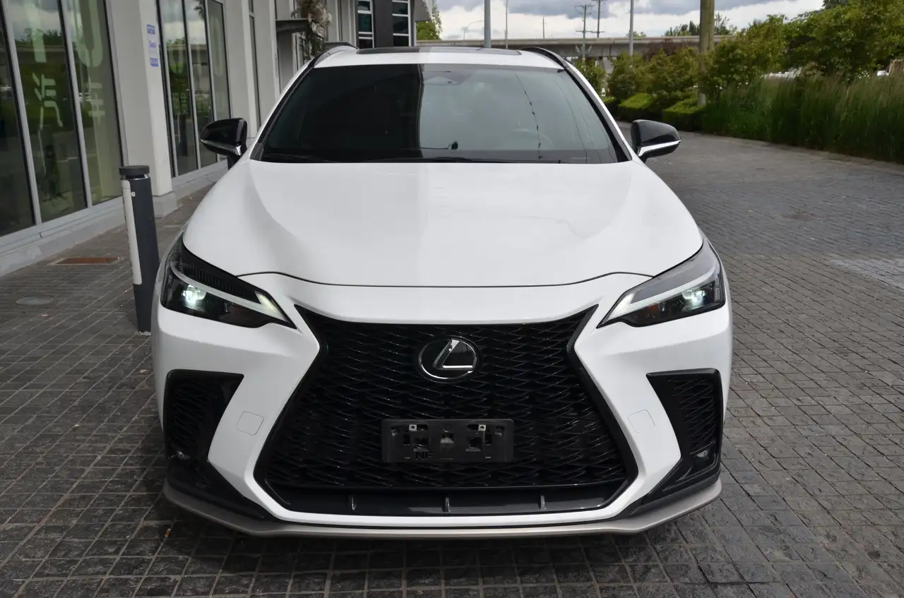 Lexus NX - Image 3