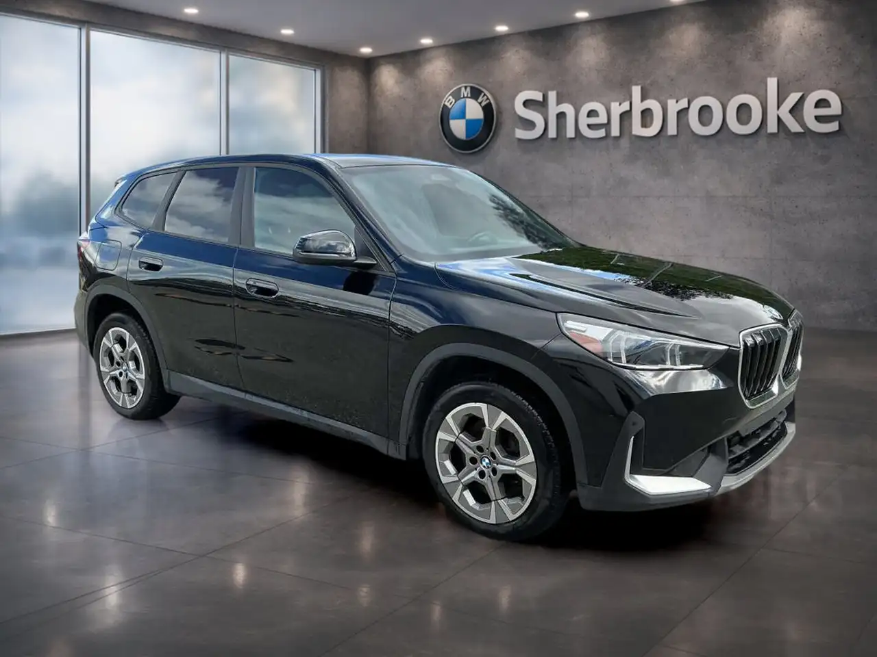 BMW X1 - Image 1