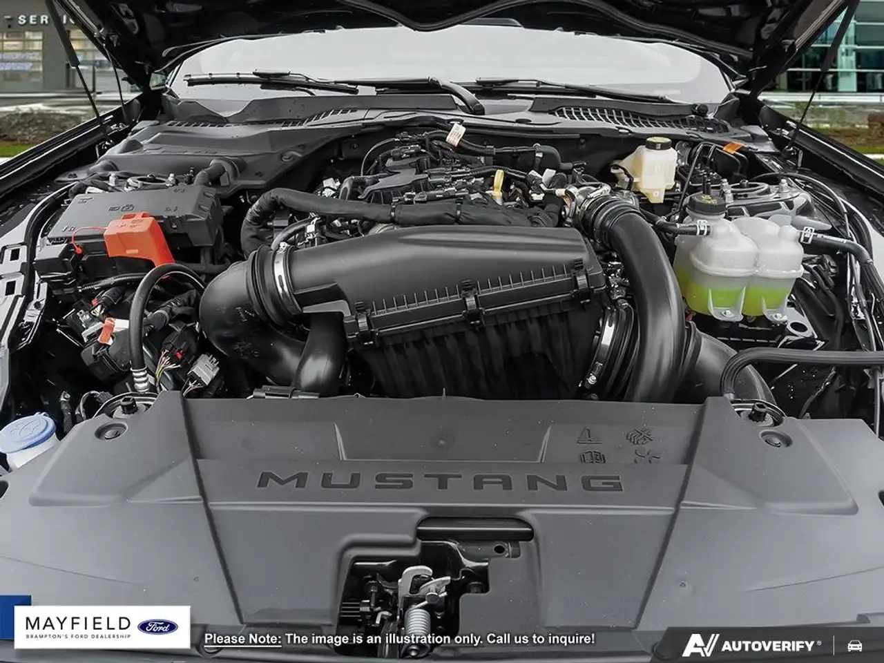 Ford Mustang - Image 6