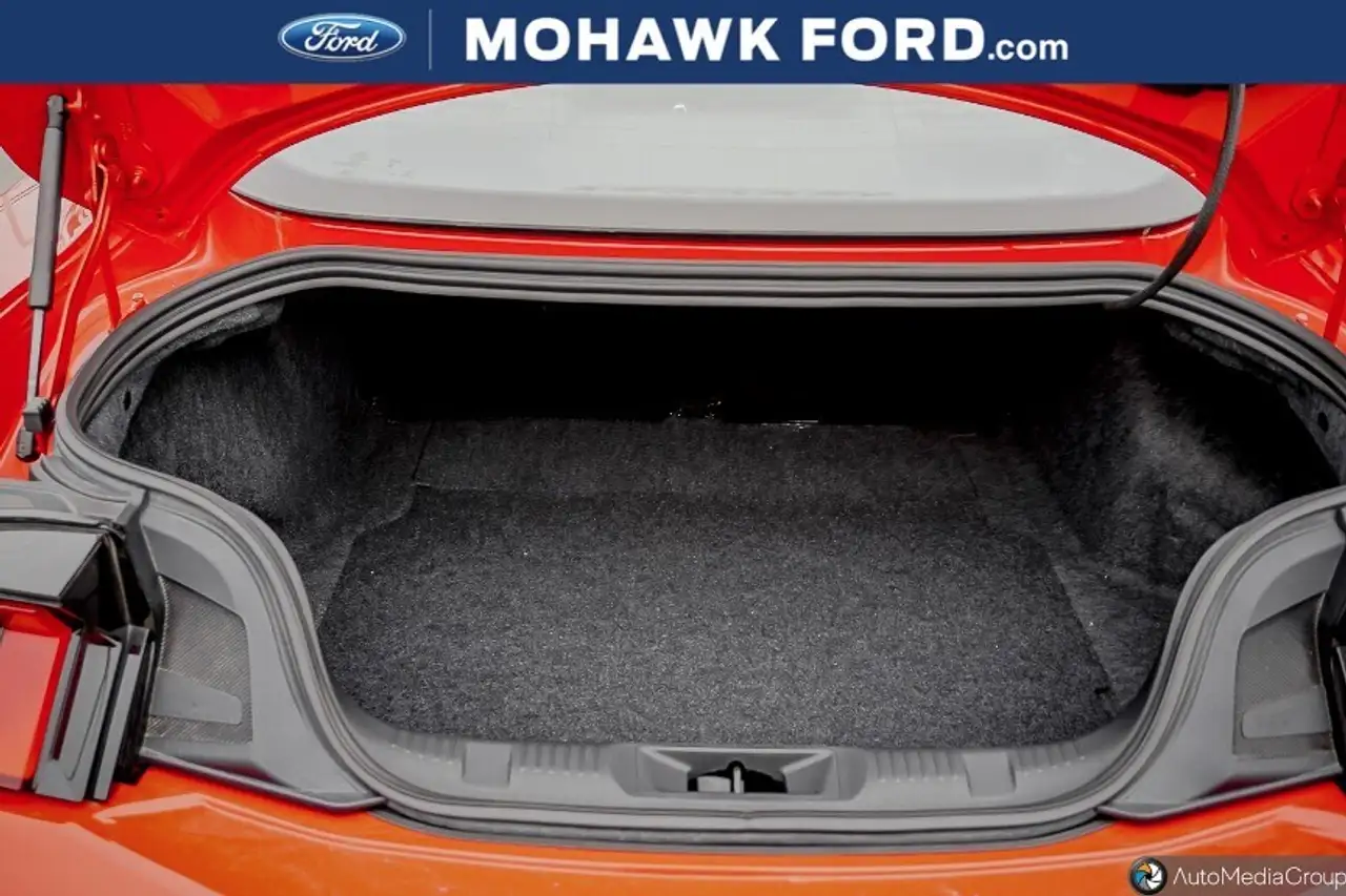 Ford Mustang - Image 19