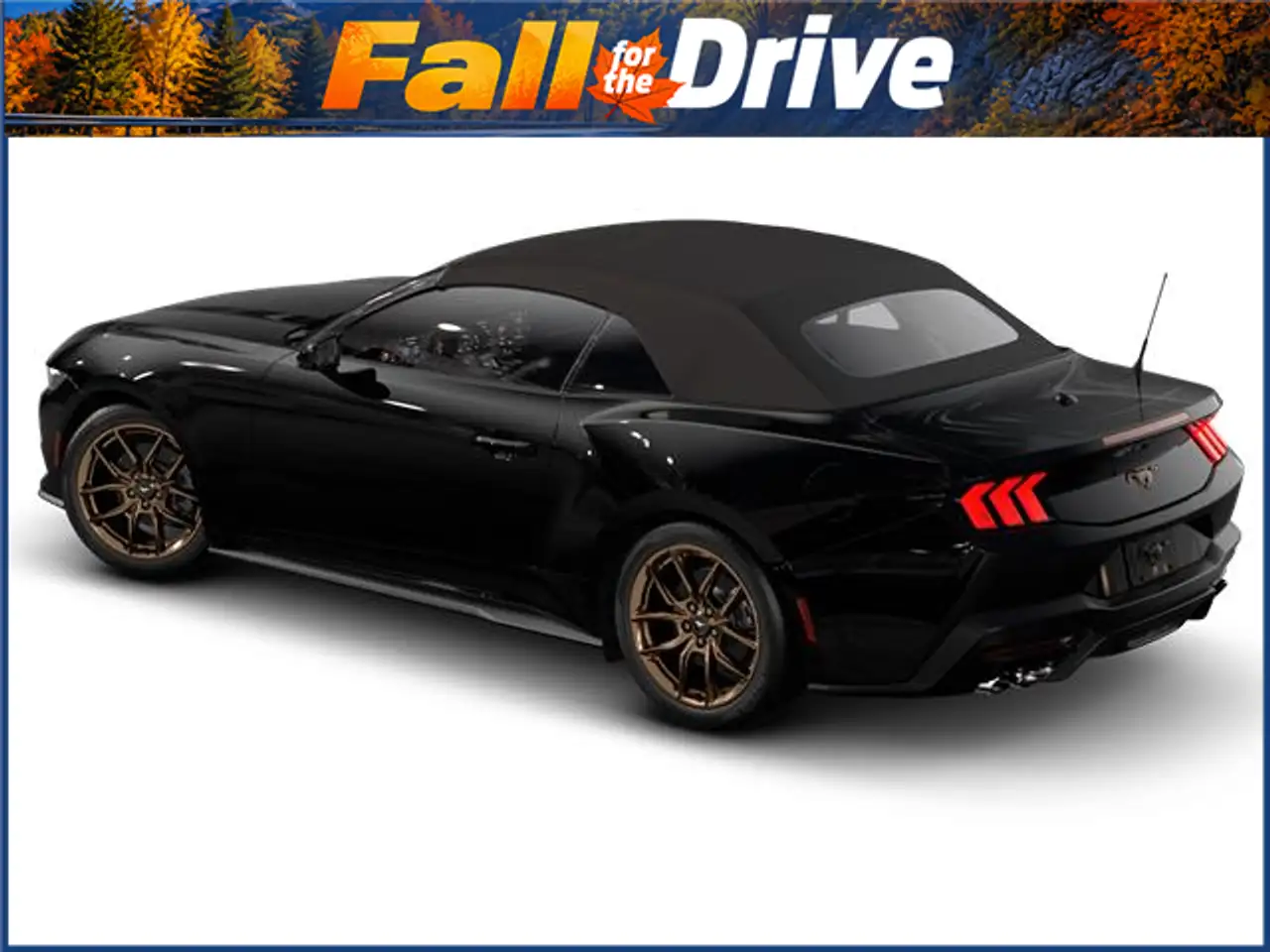 Ford Mustang - Image 1