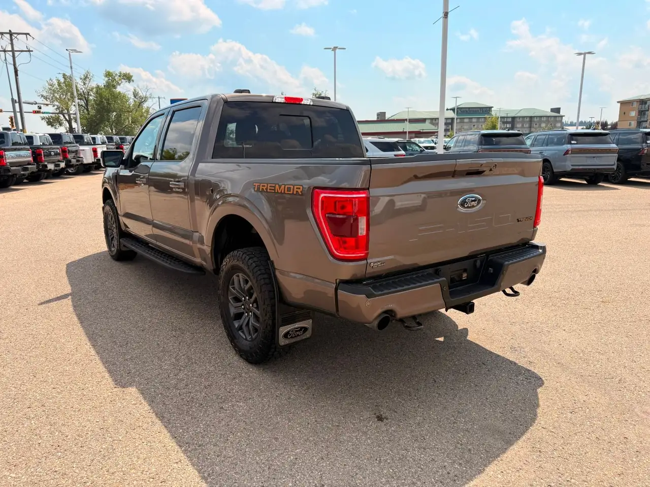 Ford F-150 - Image 8