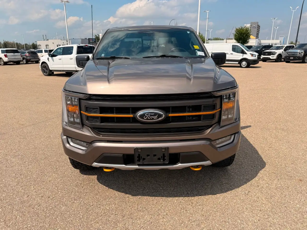 Ford F-150 - Image 2