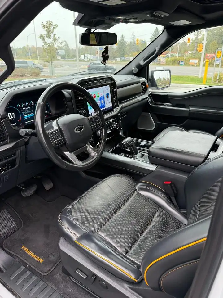 Ford F-150 - Image 14