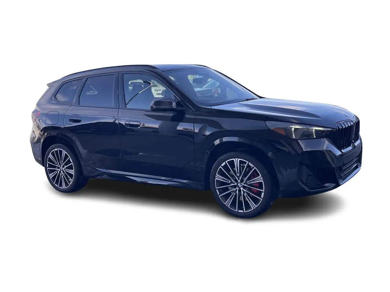 BMW X1 - Image 14