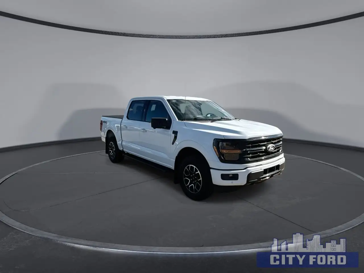 Ford F-150 - Image 2