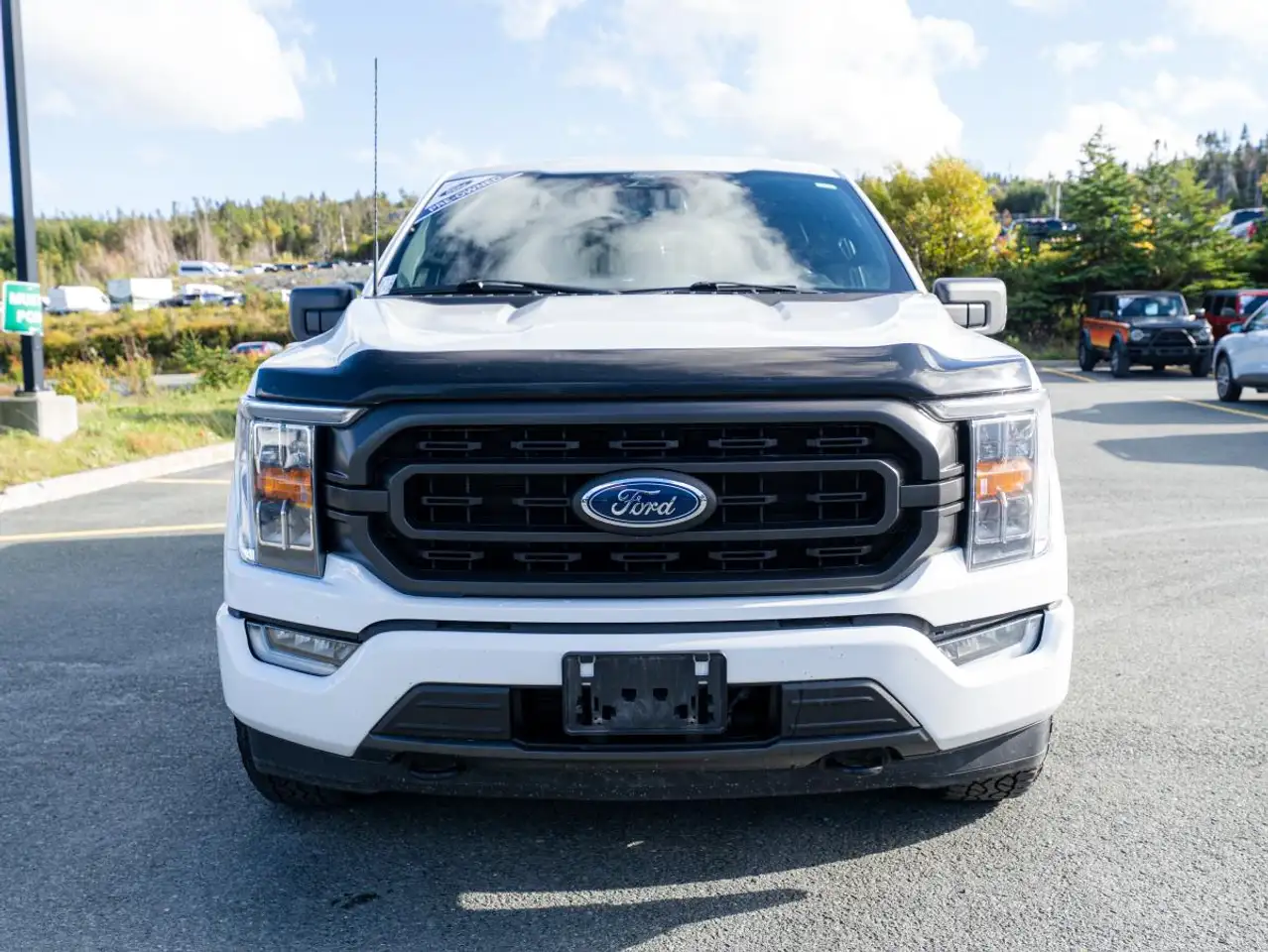 Ford F-150 - Image 2