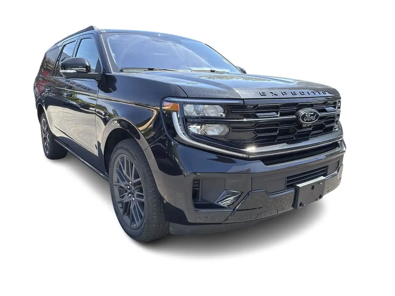 Ford Expedition - Image 2