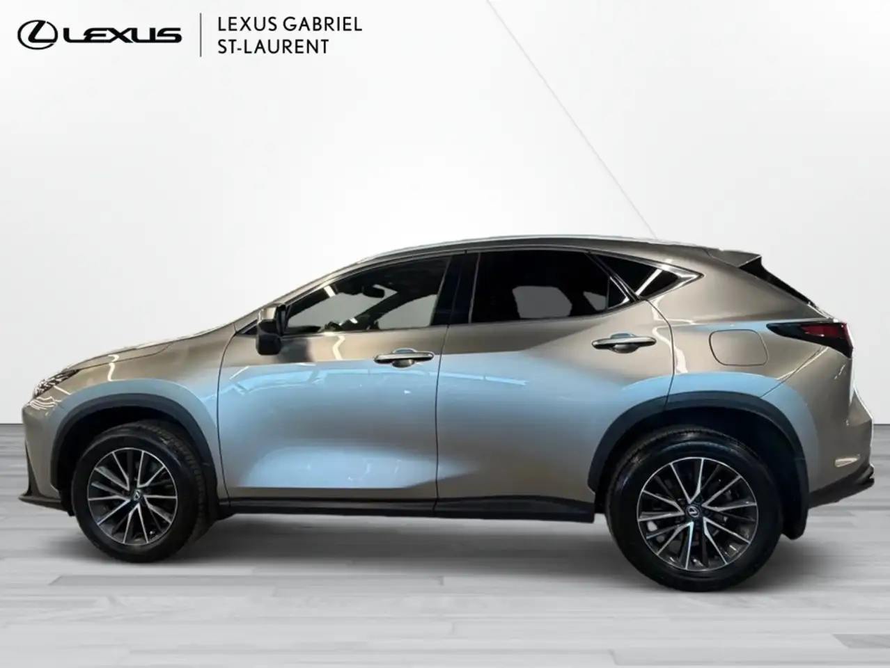 Lexus NX 350h - Image 2