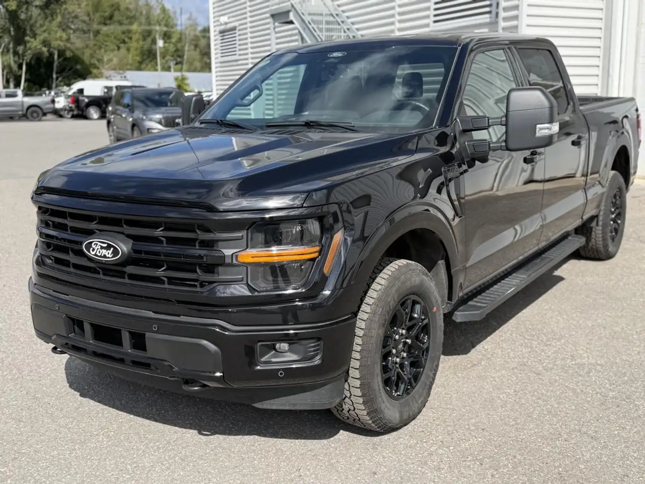 Ford F-150 - Image 9