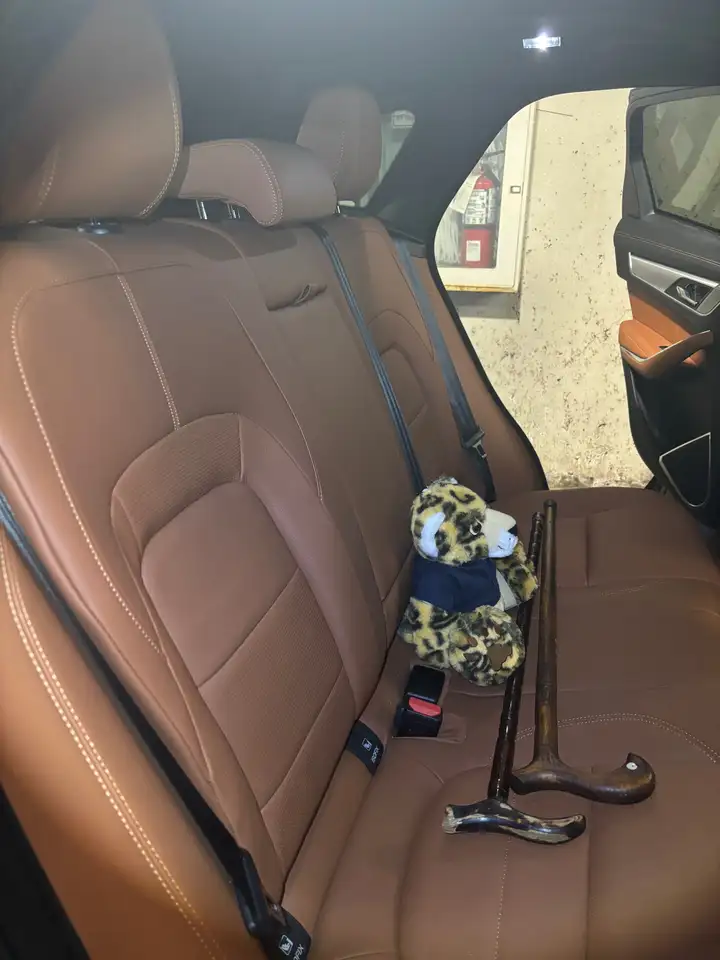 Jaguar F-Pace - Image 11