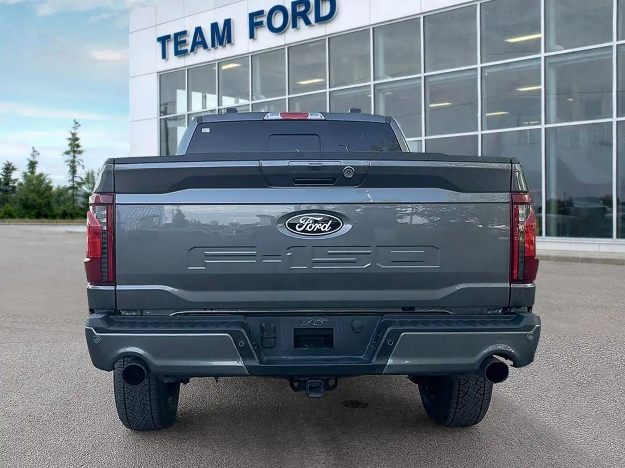 Ford F-150 - Image 5