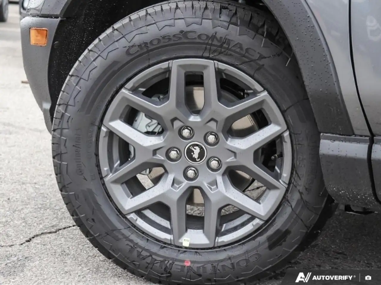 Ford Bronco Sport - Image 6