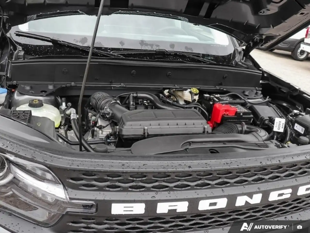 Ford Bronco Sport - Image 8