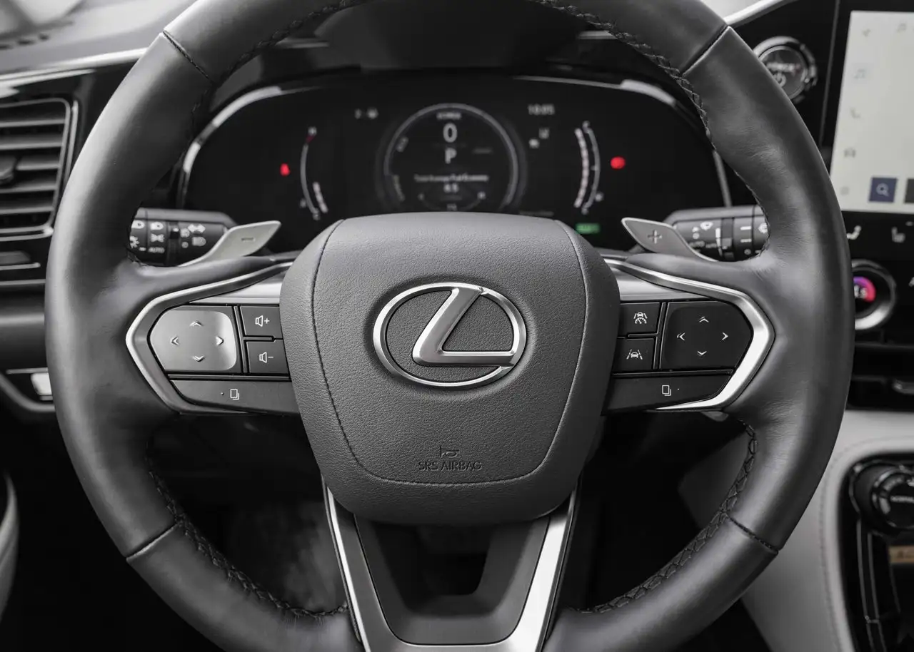 Lexus NX - Image 16