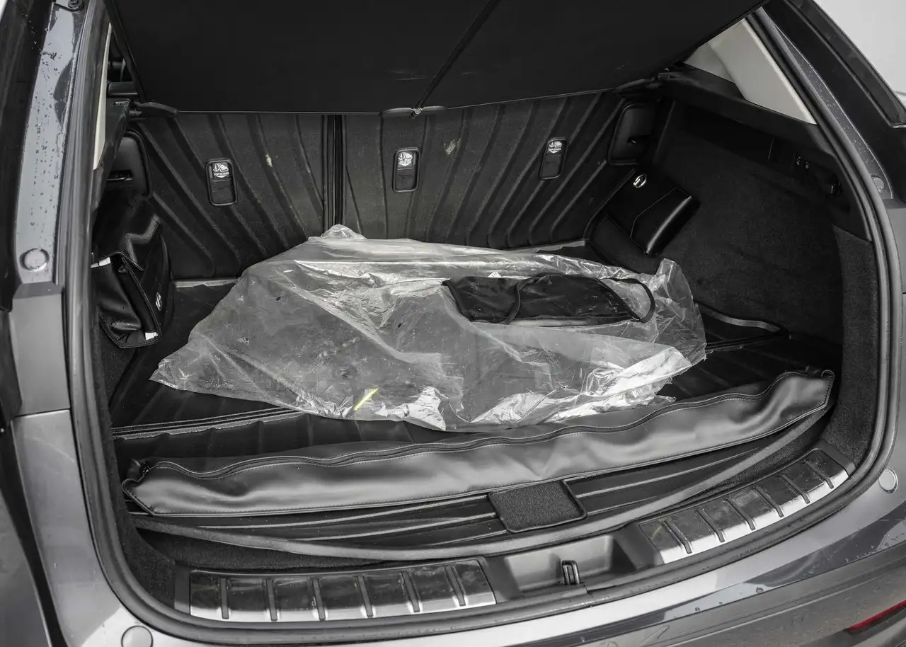 Lexus NX - Image 6