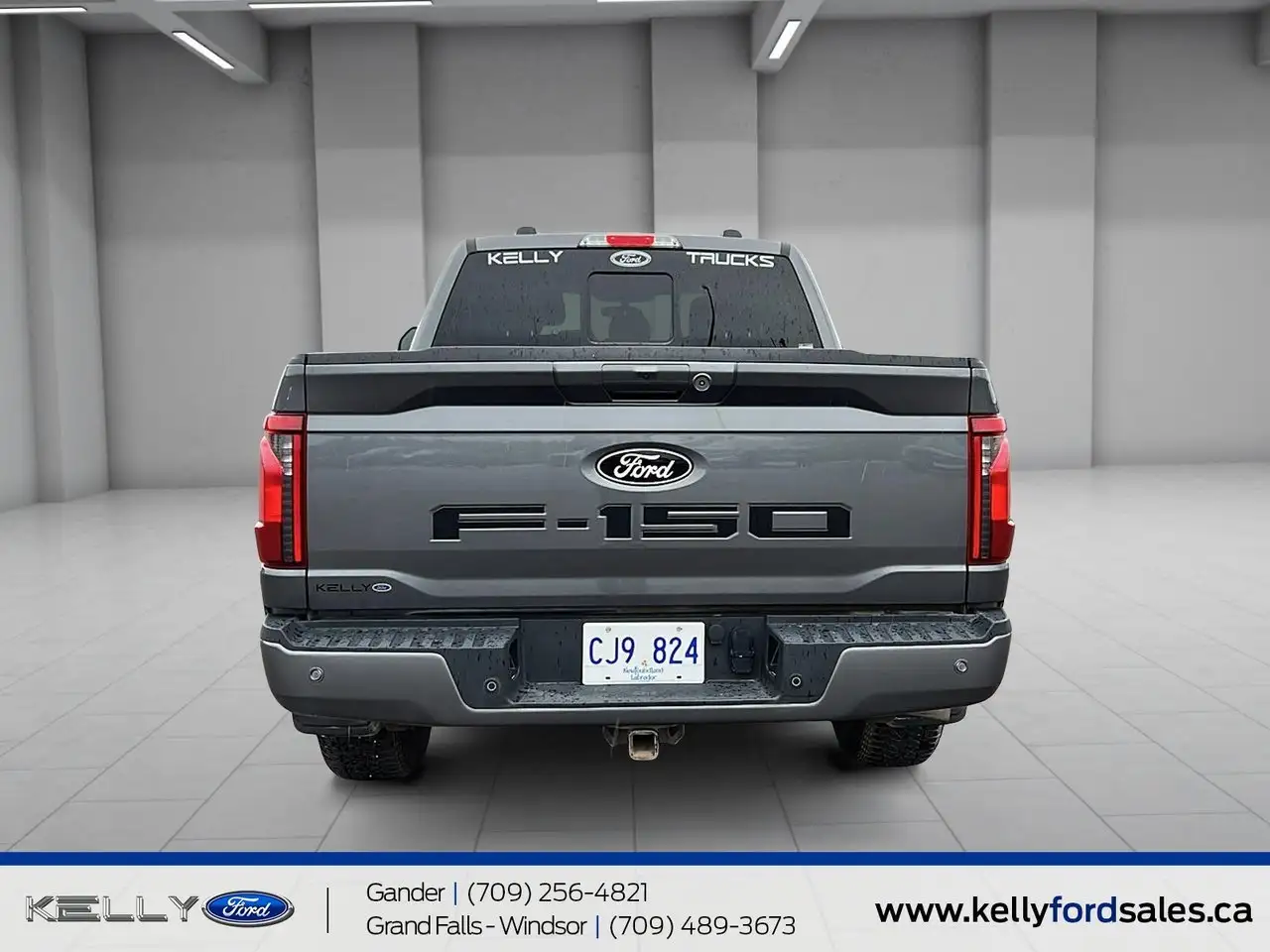 Ford F-150 - Image 3