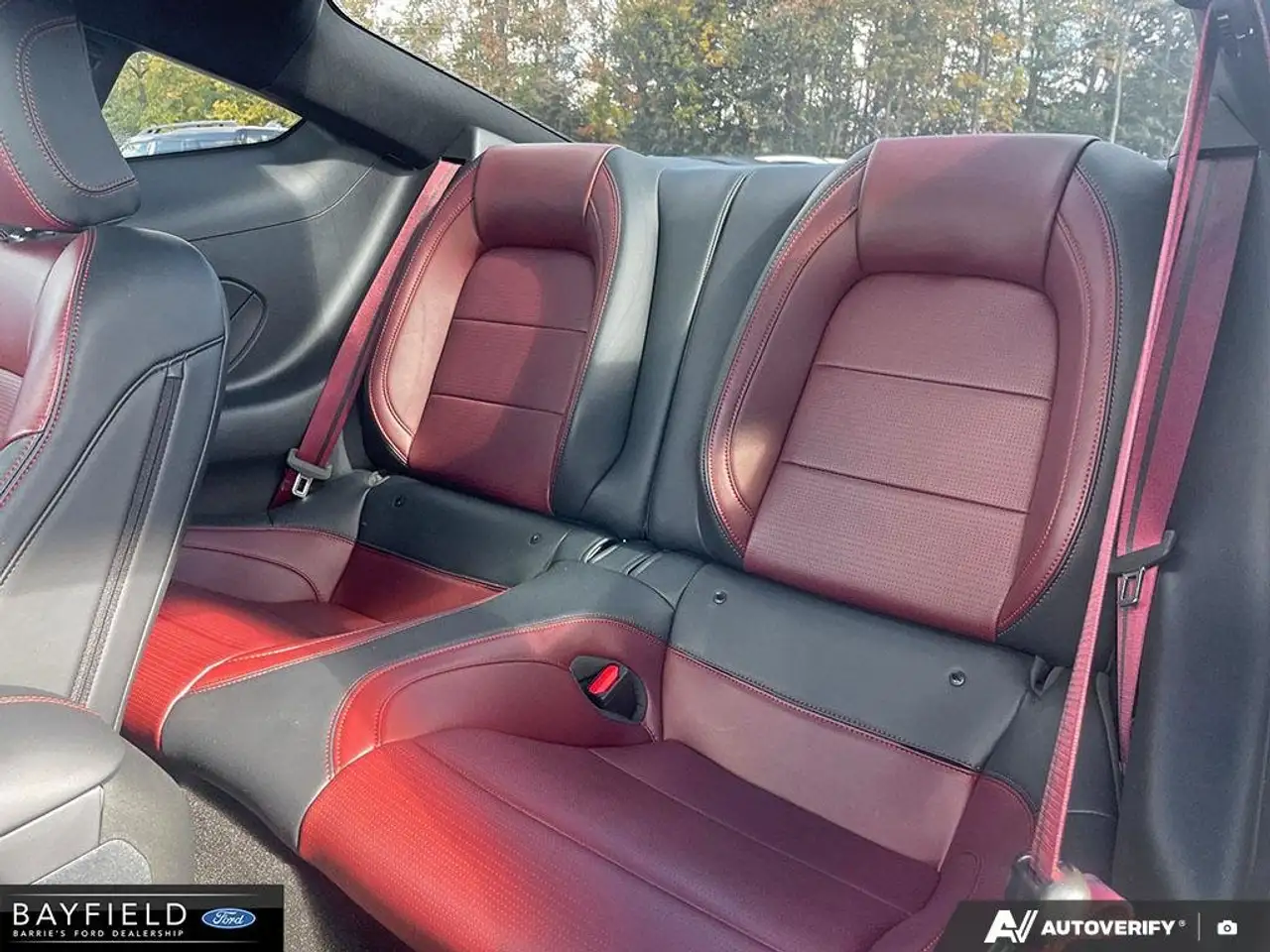 Ford Mustang - Image 24