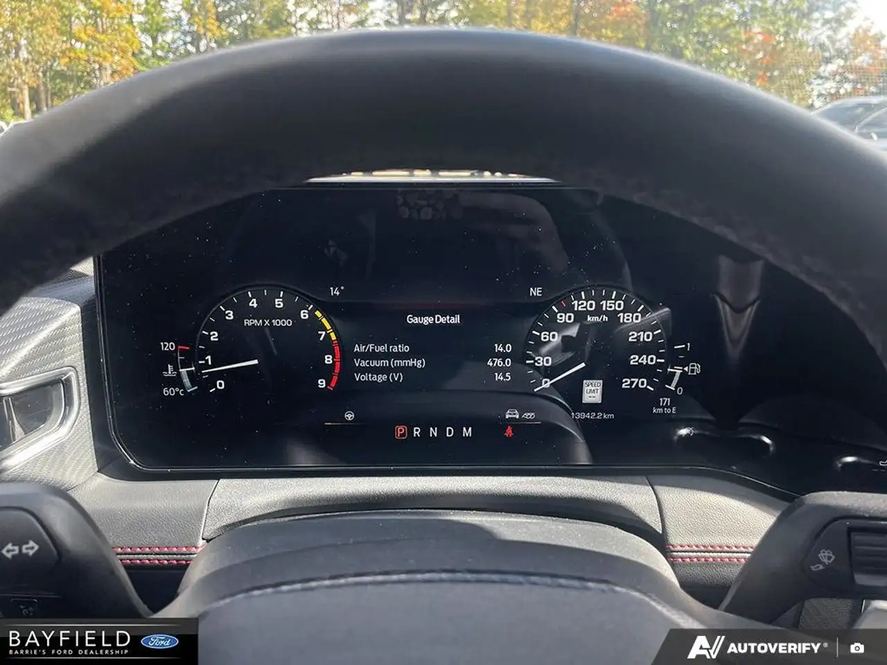 Ford Mustang - Image 16