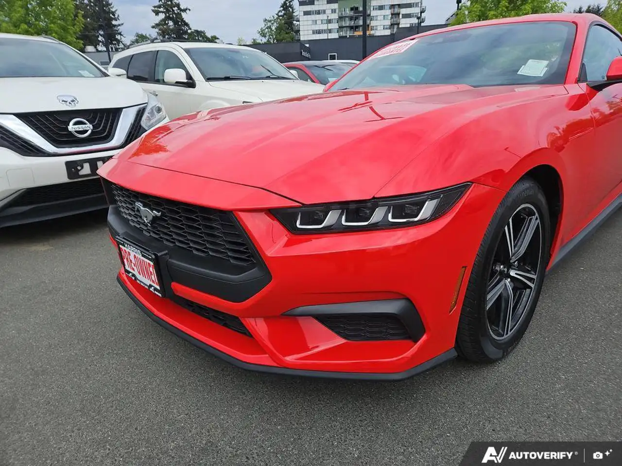 Ford Mustang - Image 8